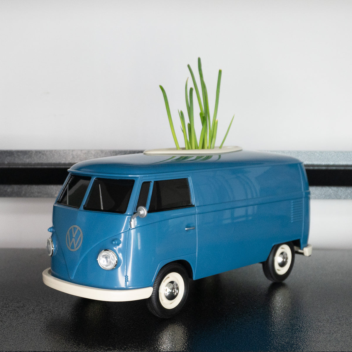 blue-plants-